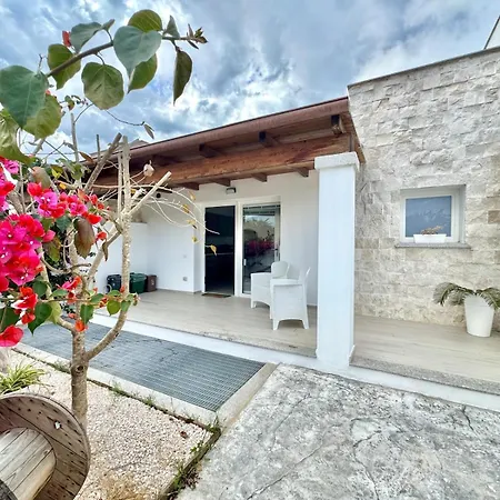 With Jacuzzi - Joy Collection *