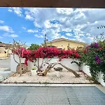 Collection Tortoli