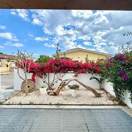 With Jacuzzi - Joy Collection